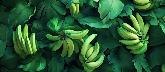 Wall Mural - Vibrant top-down view of a lush pile of green bananas surrounded by dark green leaves showcasing rich textures and color variations in detail