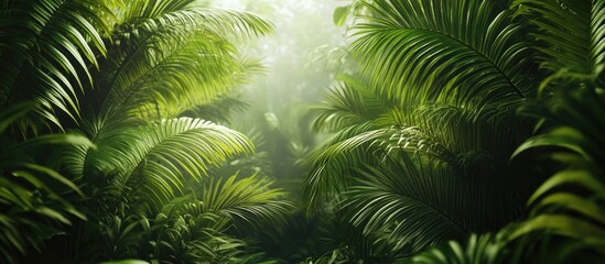  Lush green palm leaves create a serene atmosphere in a dense jungle, with soft light filtering through for a calming and natural paradise.