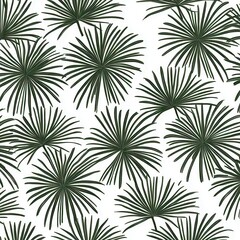 Poster - Tropical Leaf Patterns Embellishing Natural Greenery for Vibrant Backgrounds and Designs in Refreshing Style and Aesthetic Essence