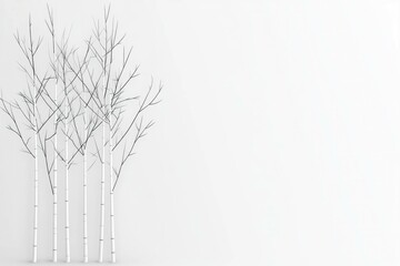 Poster - Minimalistic white tree branches on a clean background, symbolizing winter serenity and calmness, perfect for seasonal design projects and modern aesthetics