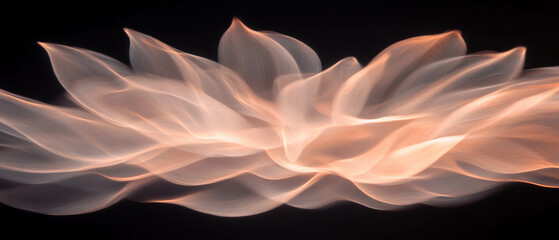 Poster - Light trails form dynamic patterns resembling petals on a dark background