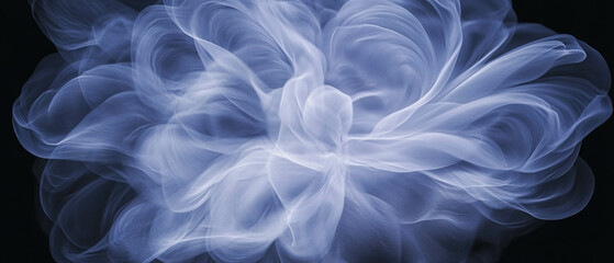Leinwandbilder - Swirling spiral petal arrangement with dynamic vortex effect on black background