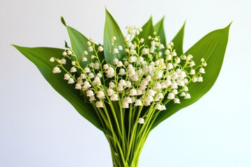 Canvas Print - A beautiful vase filled with many white flowers