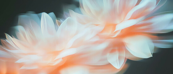Poster - Swirling petals creating dynamic motion effect against a dark background