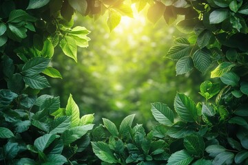 Aufkleber - A vibrant green foliage frame with sunlight filtering through, creating a serene and refreshing atmosphere. Perfect for nature and relaxation themes.