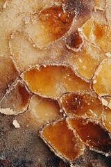 A close-up of a creme brittle with a caramelized sugar crust