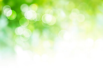 Wall Mural - green abstract bokeh background blur, holiday wallpaper