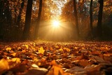 Golden hour in a sun-dappled autumn forest, with the light filtering through the leaves, casting a warm glow on the forest floor, creating a peaceful and serene autumn scene.