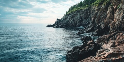 Wall Mural - Person on Cliff Overlooking Ocean