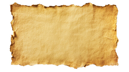 Poster - Old paper with burned edges on transparent background