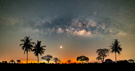Wall Mural - milky way with stars,silhouette tree in asia with sunrise.tree silhouetted against a setting sun.dar