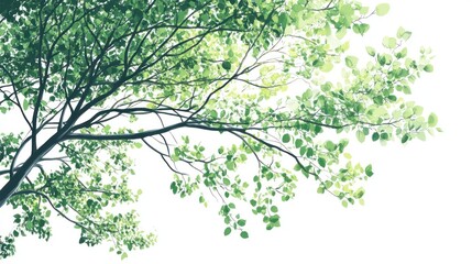 lush green tree branch, leaves, sunlight, white background, nature illustration