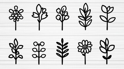 Poster - Collection of ten simple black line drawings of flowers and plants on a white wood background. Minimalist botanical illustrations