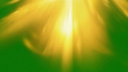 Wall Mural - golden hour rays: abstract image of sunlight streaming through a verdant, shadowy space, creating a 
