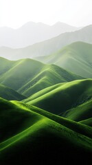 Poster - Lush, rolling green hills stretch as far as the eye can see, creating a breathtaking panorama of nature's beauty, with soft light enhancing the vibrant colors and textures of the landscape