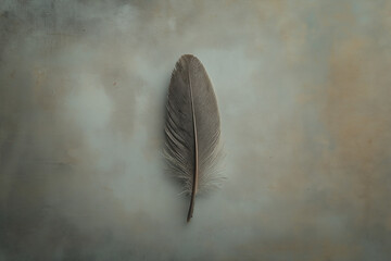 Poster - A single feather floating on a soft gray background