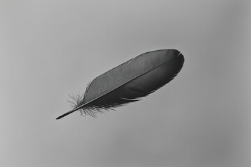 Poster - A single feather floating on a soft gray background