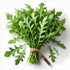 Wall Mural - A vibrant bunch of arugula, tied with twine, surrounded by individual leaves, against a clean white background