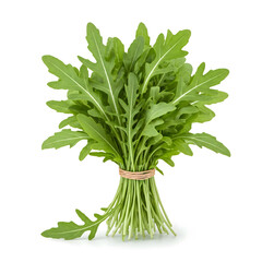 Wall Mural - A bunch of fresh arugula tied with twine, featuring vibrant green leaves with distinct shapes, against a white background