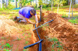 © ungvar - Worker is installing black irrigation PVC water pipes in freshly dug trench while working outdoors.