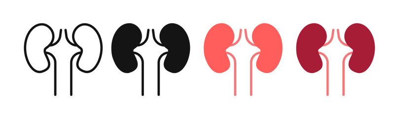 Wall Mural - kidney icon vectors for apps and web.