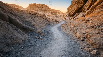 Poster - Golden hour sunlight illuminates a winding path through a desert canyon, creating a picturesque scene of tranquility and adventure as nature showcases its beauty