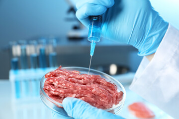 Wall Mural - GMO concept. Scientist injecting something into minced meat in laboratory, closeup.