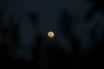 moon in the sky