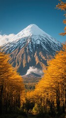 Poster - Majestic Snowcapped Volcano and Vibrant Autumn Forest Landscape with Golden Foliage Under Blue Sky Perfect for Nature Photography and Travel Inspiration