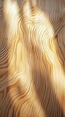Poster - Soft, warm light dances across the smooth, finely grained wooden surface, highlighting the intricate patterns of nature in a tranquil indoor space that encourages relaxation and reflection