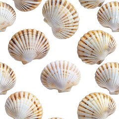 Pattern of beautiful variegated scallop shells, creating a seamless design on a white background