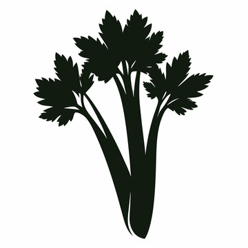 Sleek Celery Silhouette Modern Vector Design
