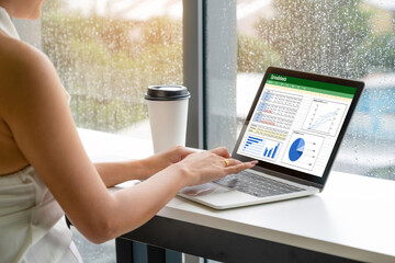 Poster - spreadsheet document information financial startup concept. data and graphs in spreadsheet documents