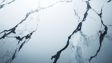Poster - Abstract White Marble Texture With Dark Veins