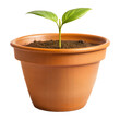 © Aminograpix - Seedling in Terracotta Pot Isolated on Transparent Background.