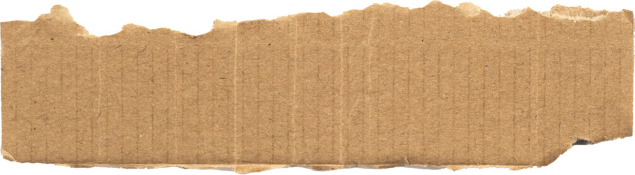 Strip of torn cardboard isolated on white background, Corrugated cardboard piece PNG