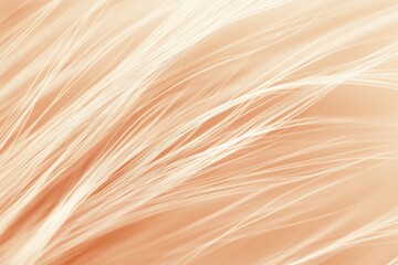 Poster - Soft Textures of Creamy Beige Fibers on Gentle Background