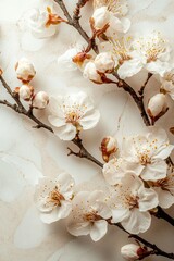 Poster - Softly tinted spring flowers create a border with a space for text on a white wooden surface, set against a spring background