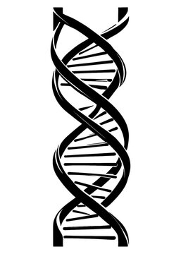 Rotating DNA, Genetic engineering scientific concept. rendered loopable animation of rotating DNA glowing molecule on blue background. Genetics concept. Animation rotation of model DNA