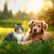 © SandraSevJarocka - Generated image Cute dog and cat lying together on a green grass field nature in a spring sunny background