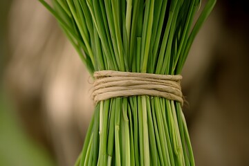 Wall Mural - Close-up of Fresh Green Herbs Tied with Natural String