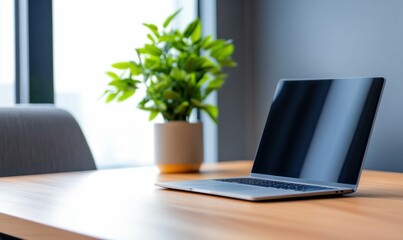 Poster - Modern Laptop on Wooden Desk with Green Plant