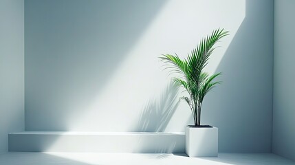 Poster - Minimalist Room Decor Featuring Plant And Bench