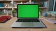 © stockbusters - Office professional browsing greenscreen laptop at workplace closeup. Lady hands