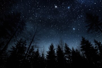 Wall Mural - deep night sky with trees. stunning starry night sky with trees silhouetted against a deep black for
