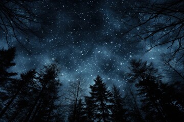 Deep Night Sky with Trees Standing Tall. Beautiful Starry Sky and Black Forest. Astronomy and Astrology Background Texture