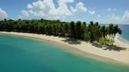 Aufkleber - A tropical island covered with palm trees overlooking a clean sandy beach. Clouds float in the blue sky