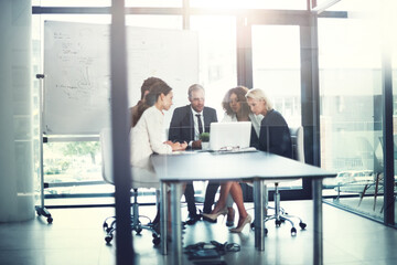 Leinwandbilder - Office, employees and business people with laptop for solution, audit research and accounting agency. Boardroom, accountants and financial advisor with digital for tax software, planning and teamwork