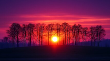 Wall Mural - Sunset silhouettes, trees, field, vibrant sky, nature