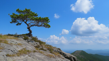 photo of blue cloudy sky